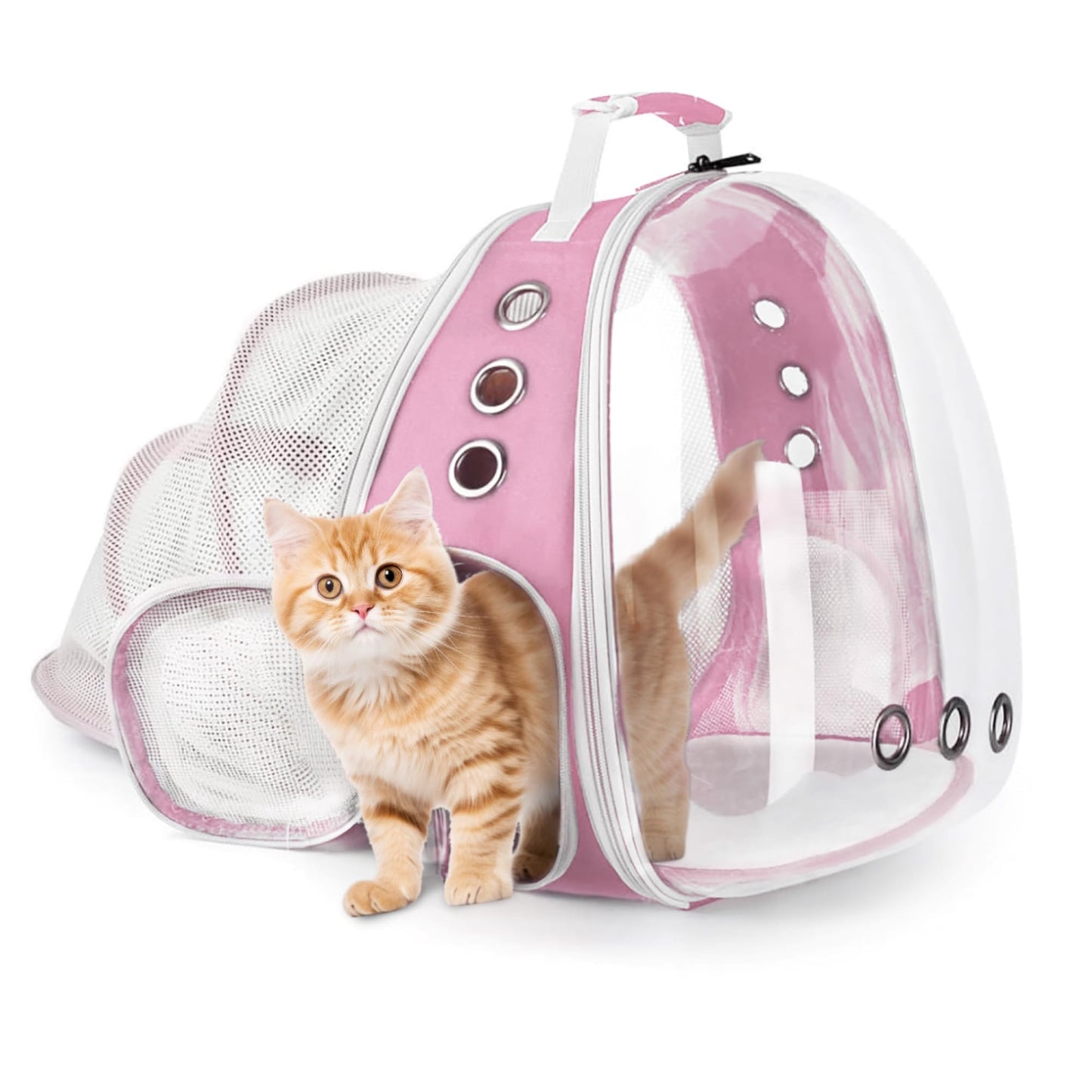 Cat Carry Bag