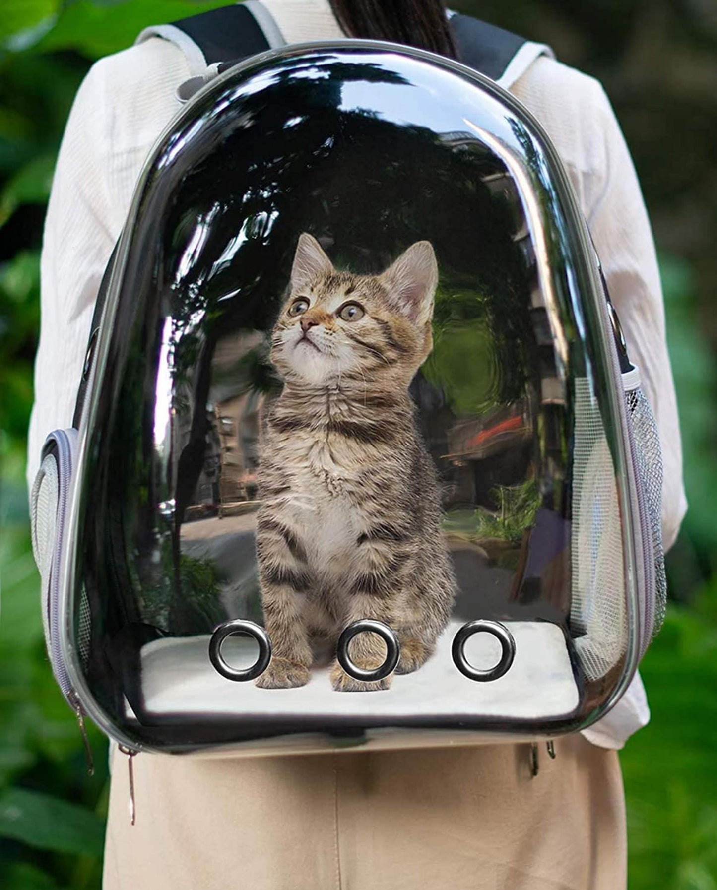Cat Carry Bag