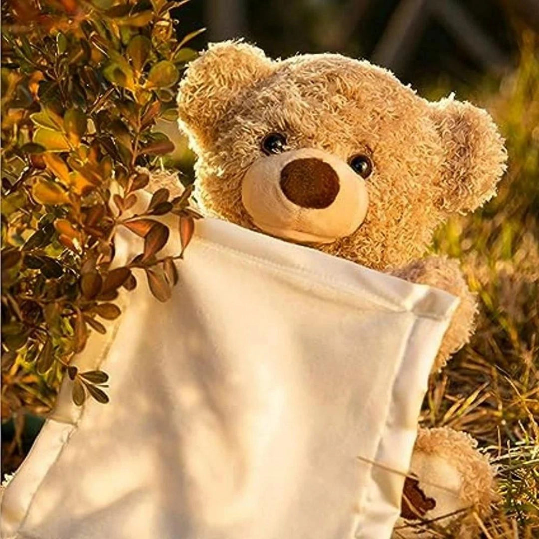 Your Child's New Best Friend: Peek-a-Boo Teddy