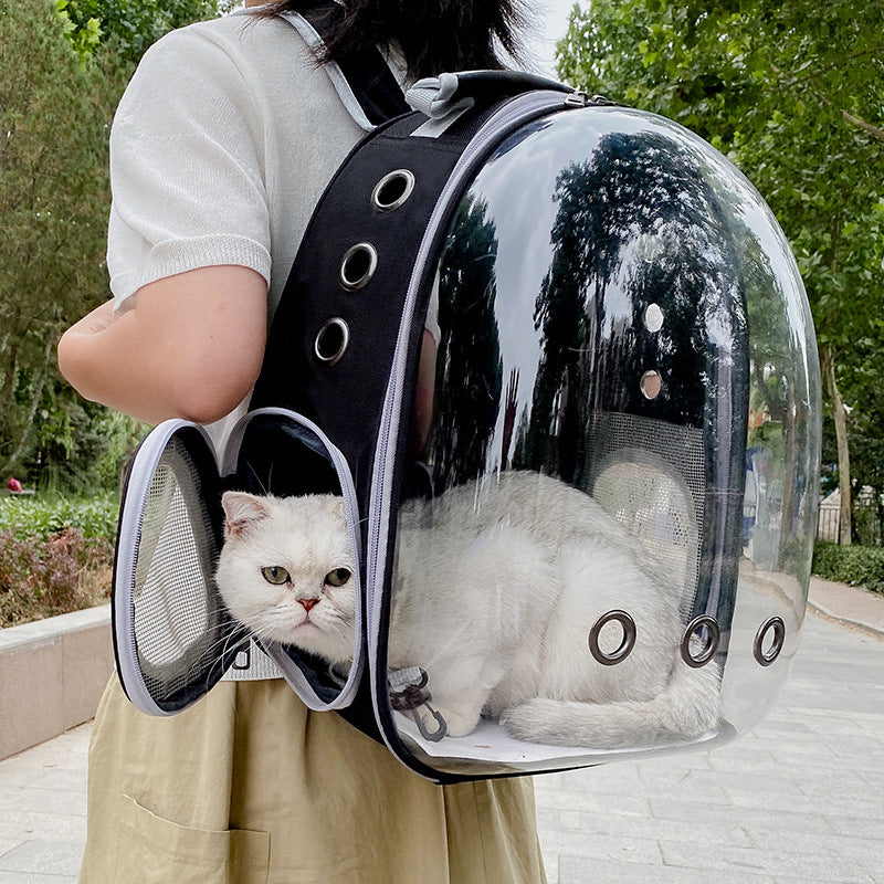 Stylish and Comfortable for Every Adventure Chic and Comfy Cat Carry Bags You'll Love