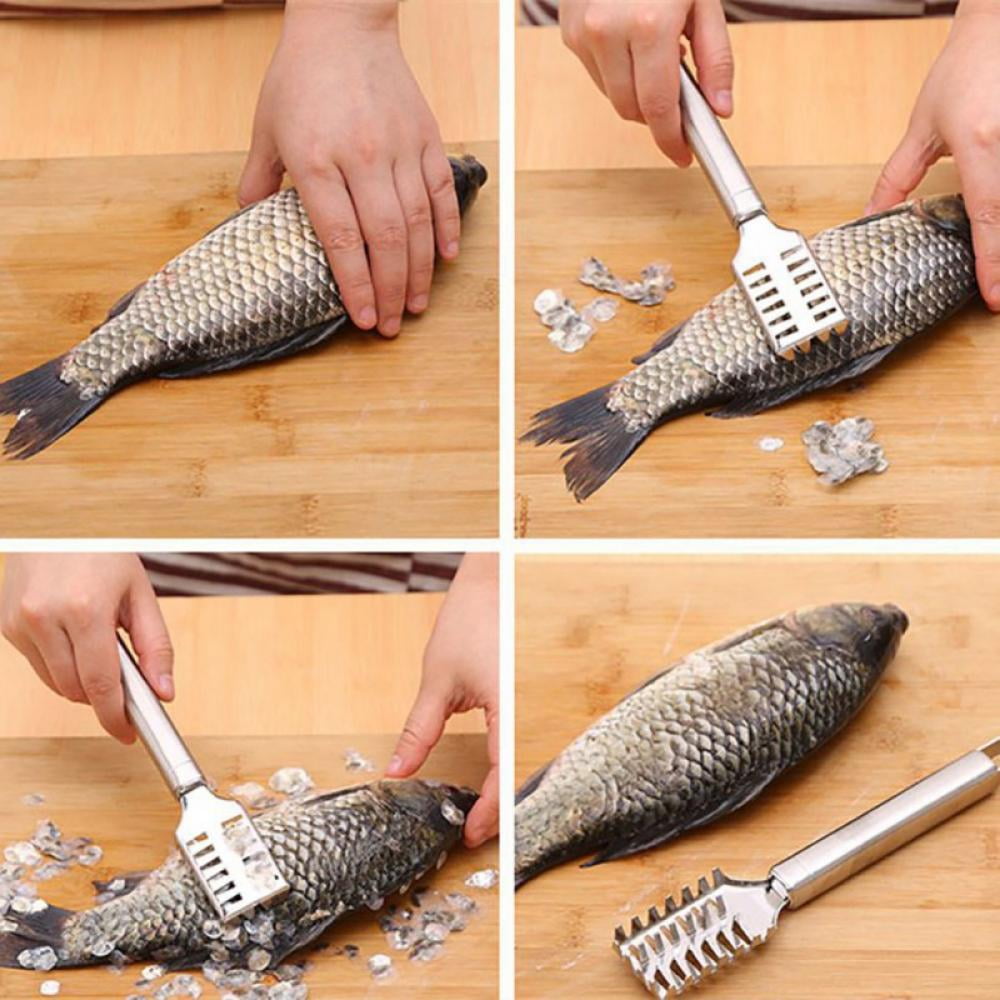 Streamline Your Catch: The Essential Fish Scraper for Effortless Scaling