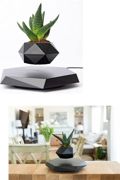 Revolutionizing Home Decor Office & Gifting Air Floating Pot The Levitating Flower Pot That Defies Gravity