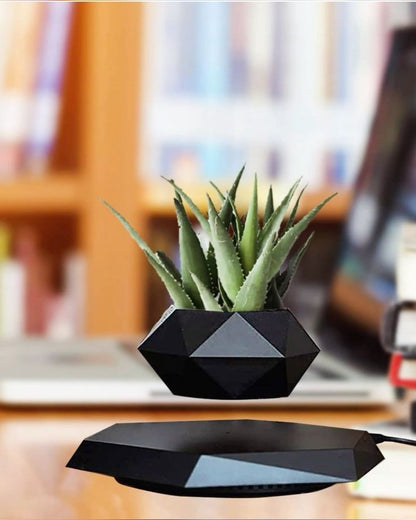 Revolutionizing Home Decor Office & Gifting Air Floating Pot The Levitating Flower Pot That Defies Gravity