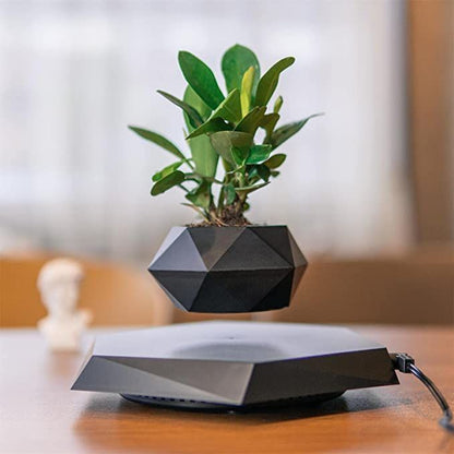 Revolutionizing Home Decor Office & Gifting Air Floating Pot The Levitating Flower Pot That Defies Gravity