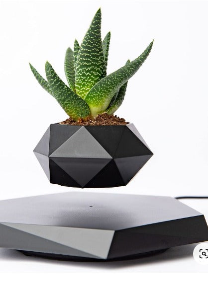 Revolutionizing Home Decor Office & Gifting Air Floating Pot The Levitating Flower Pot That Defies Gravity