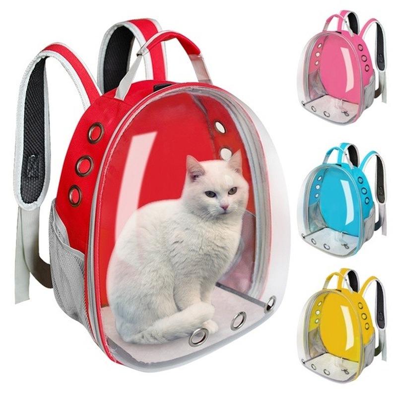 Stylish and Comfortable for Every Adventure Chic and Comfy Cat Carry Bags You'll Love