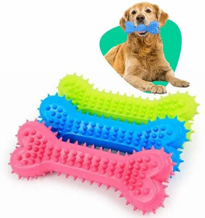 Chew, Play, Repeat: The Soft Rubber Bone Your Dog Will Love