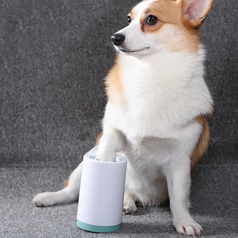 Clean Paws, Cozy Floors: Your Pet’s New Best Friend