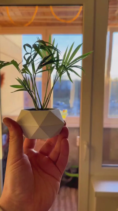 Revolutionizing Home Decor Office & Gifting Air Floating Pot The Levitating Flower Pot That Defies Gravity