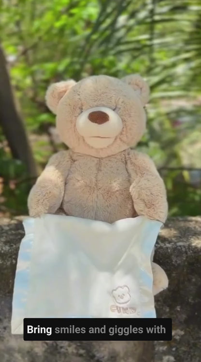 Autoplay Teddy Bear - Your Child's New Best Friend: Peek-a-Boo Teddy